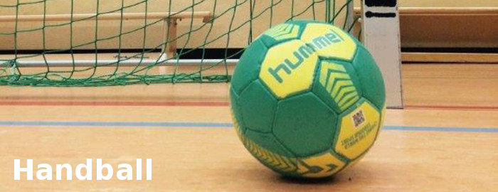 Abteilung handball